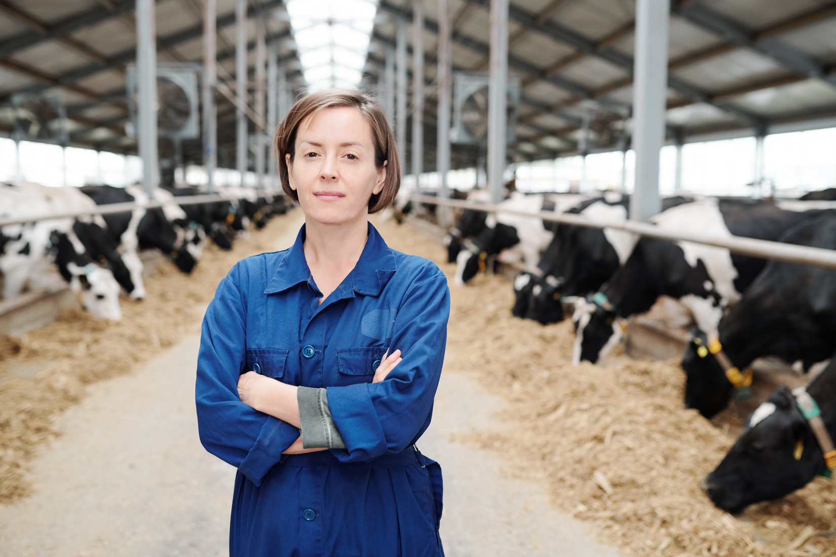 Woman Working at Dairy Farm