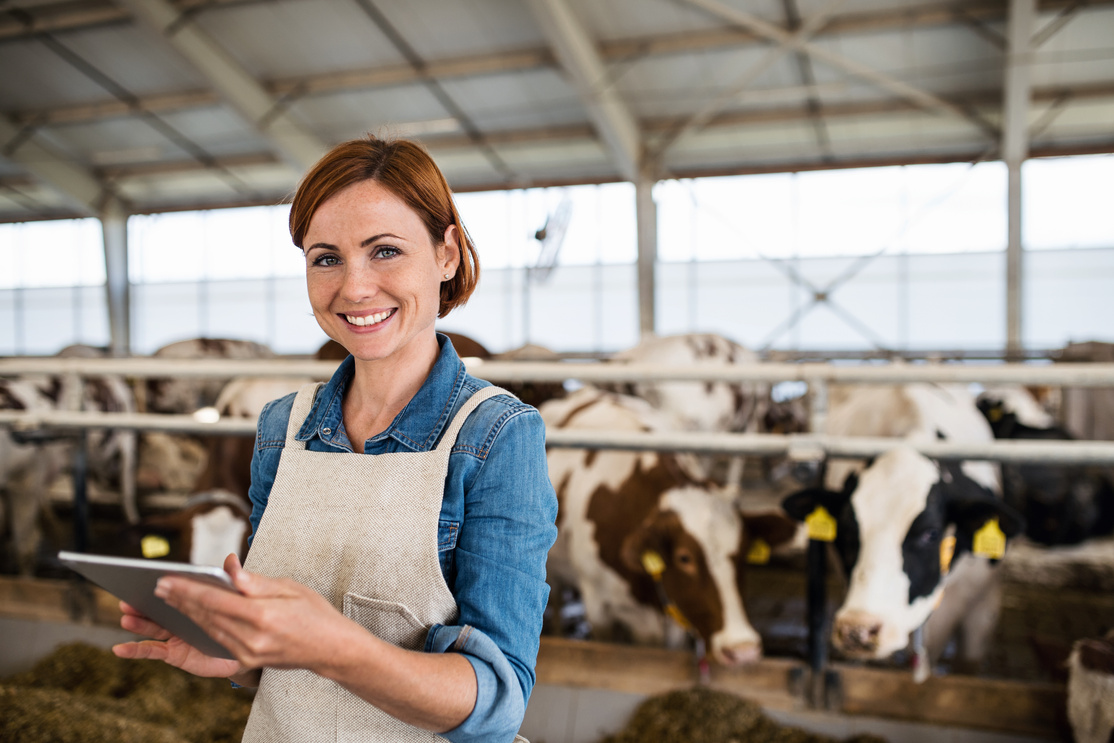 Female Manager with Tablet Working on Dairy Farm